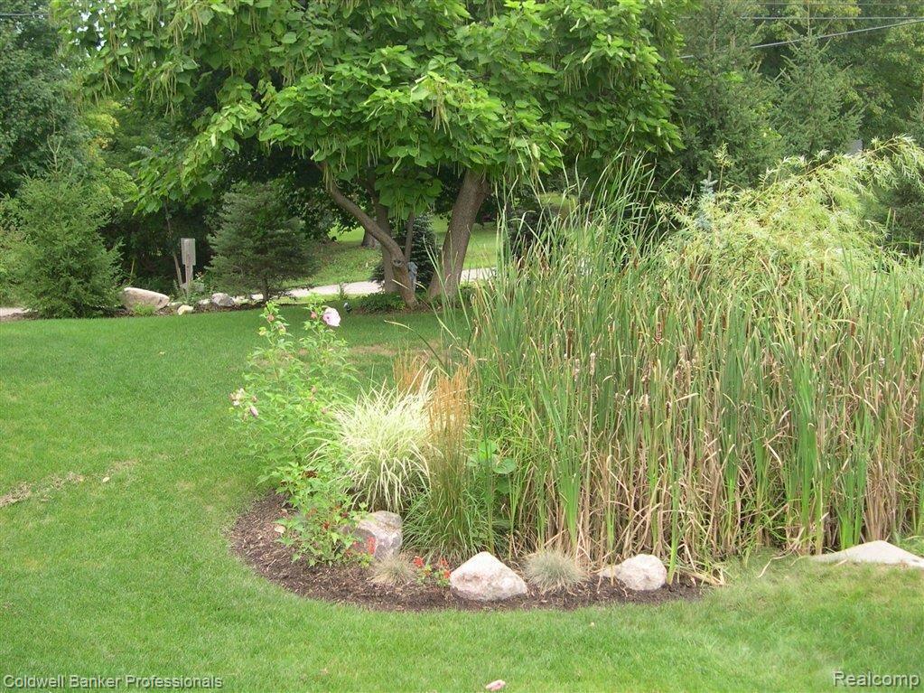 142 Spruce Lane Rochester, MI 48307 - Photo 20 of 23 Lush Landscaping