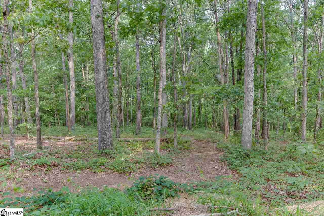 1806 Danehower Road Pendleton, SC 29670 - Photo 25 of 28