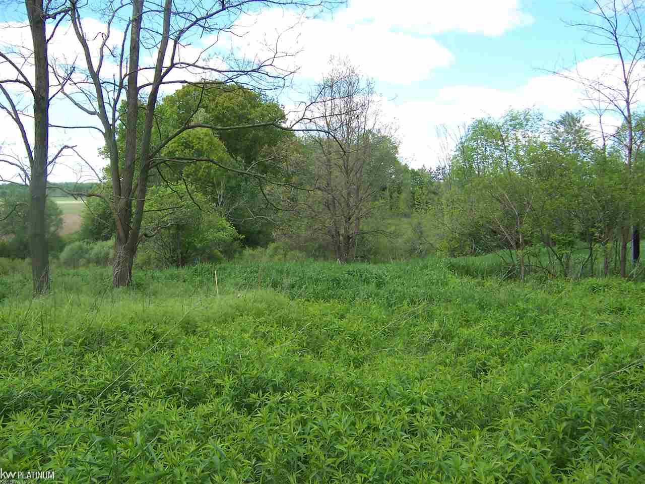 Lot E Lot E Parks Road Goodells, MI 48027 - Photo 1 of 2