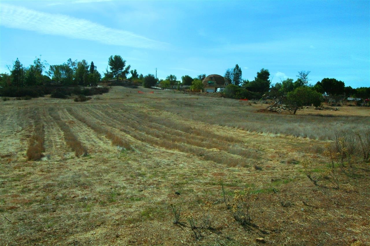 0 Ranchito Lane Alpine, CA 91901 - Photo 7 of 7