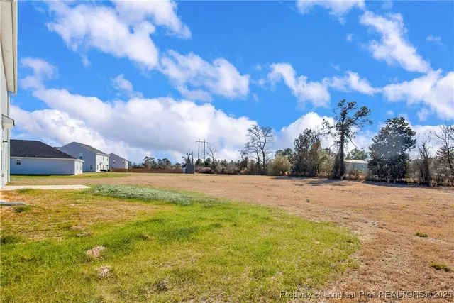 $309,950 | 221 Buggy Top Lane, Autryville, NC 28318