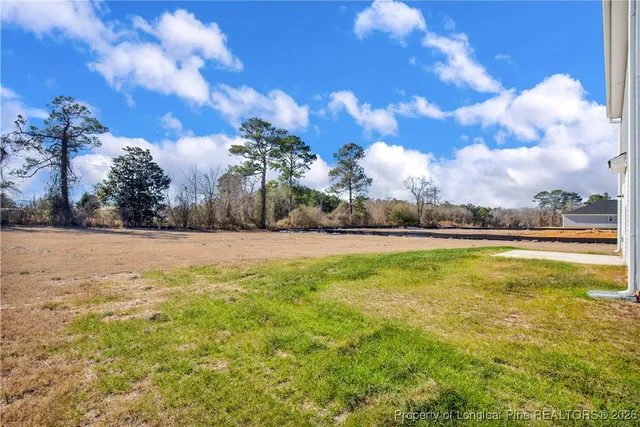 $309,950 | 221 Buggy Top Lane, Autryville, NC 28318