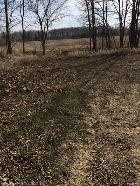 0 Roloff Parcel 6 Road Ottawa Lake, MI 49267 - Photo 3 of 6 Gallery Image 3