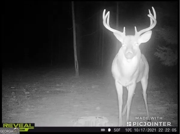 $1,100,000 | 0 Highway 112 Abbeville Ga 31001, Pineview, GA 31071