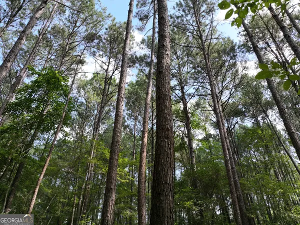 $1,100,000 | 0 Highway 112 Abbeville Ga 31001, Pineview, GA 31071
