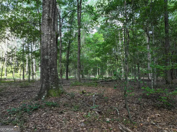 $1,100,000 | 0 Highway 112 Abbeville Ga 31001, Pineview, GA 31071