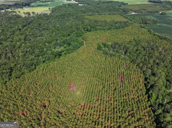 $1,100,000 | 0 Highway 112 Abbeville Ga 31001, Pineview, GA 31071