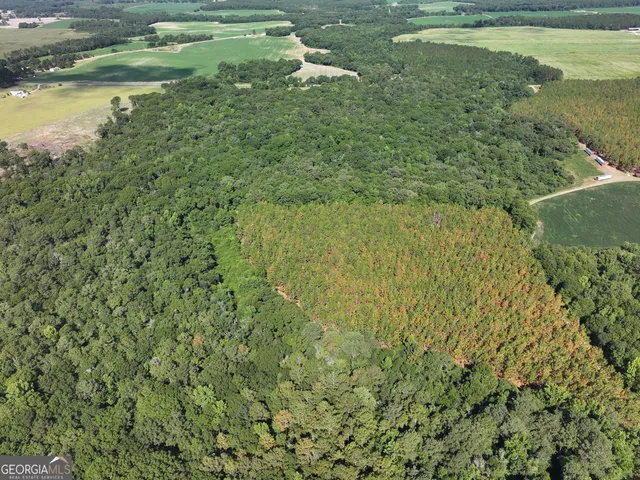 $1,100,000 | 0 Highway 112 Abbeville Ga 31001, Pineview, GA 31071