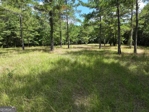 $1,100,000 | 0 Highway 112 Abbeville Ga 31001, Pineview, GA 31071