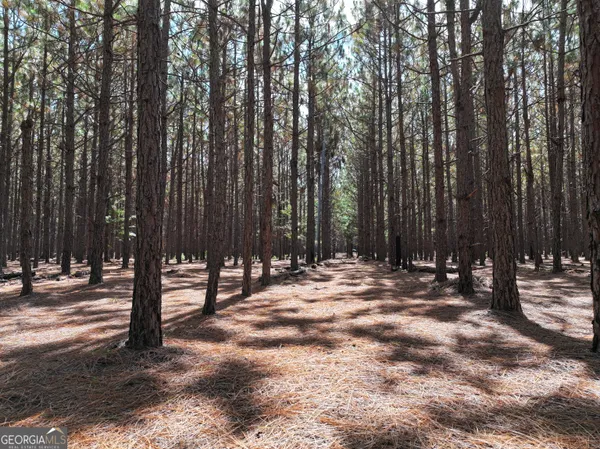 $1,100,000 | 0 Highway 112 Abbeville Ga 31001, Pineview, GA 31071