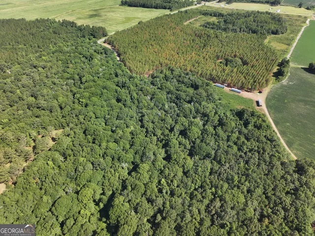 $1,100,000 | 0 Highway 112 Abbeville Ga 31001, Pineview, GA 31071