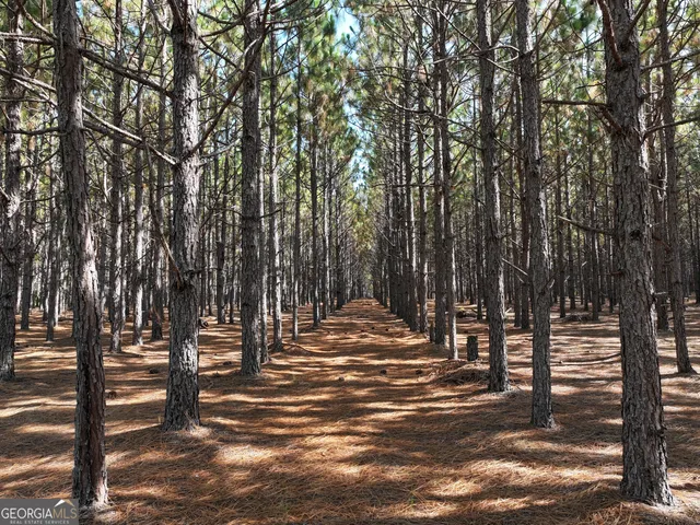 $1,100,000 | 0 Highway 112 Abbeville Ga 31001, Pineview, GA 31071