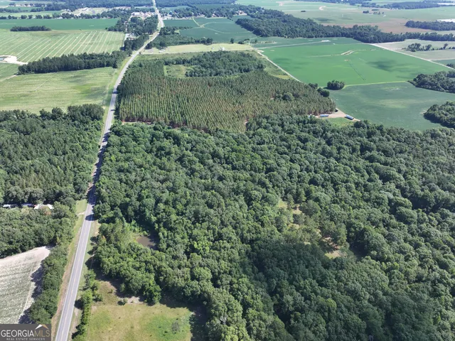 $1,100,000 | 0 Highway 112 Abbeville Ga 31001, Pineview, GA 31071