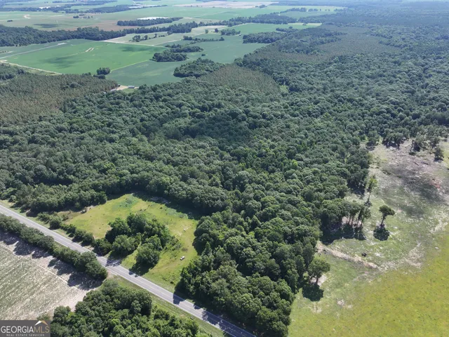 $1,100,000 | 0 Highway 112 Abbeville Ga 31001, Pineview, GA 31071