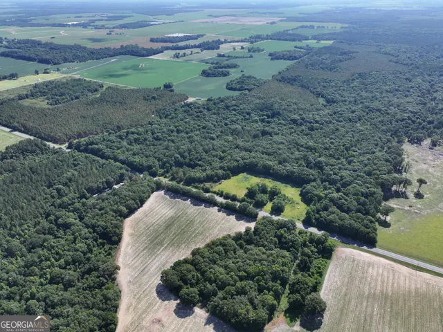 $1,100,000 | 0 Highway 112 Abbeville Ga 31001, Pineview, GA 31071