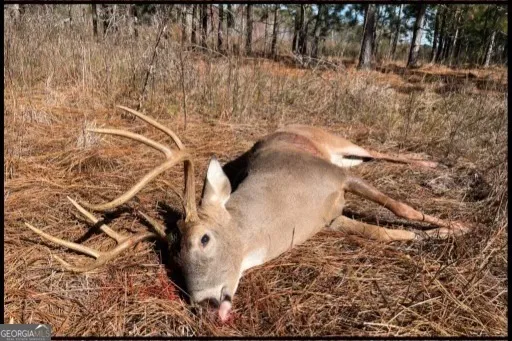 $1,100,000 | 0 Highway 112 Abbeville Ga 31001, Pineview, GA 31071