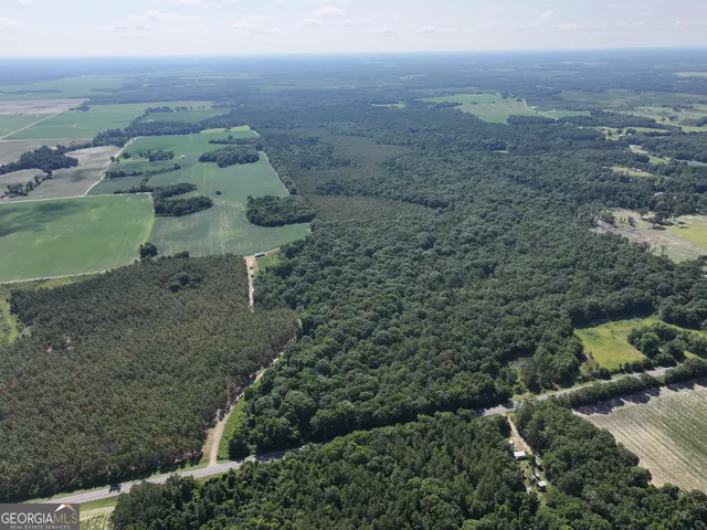 $1,100,000 | 0 Highway 112 Abbeville Ga 31001, Pineview, GA 31071