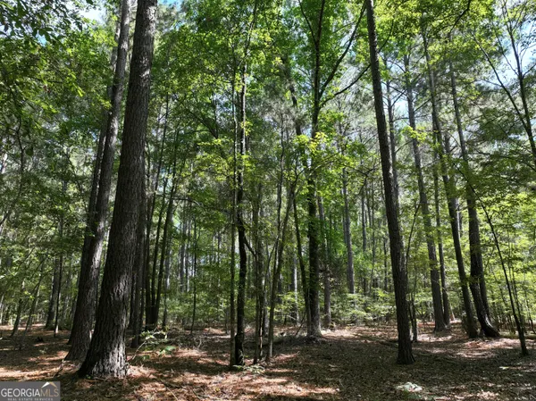 $1,100,000 | 0 Highway 112 Abbeville Ga 31001, Pineview, GA 31071