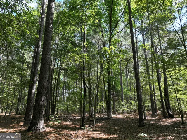 $1,100,000 | 0 Highway 112 Abbeville Ga 31001, Pineview, GA 31071