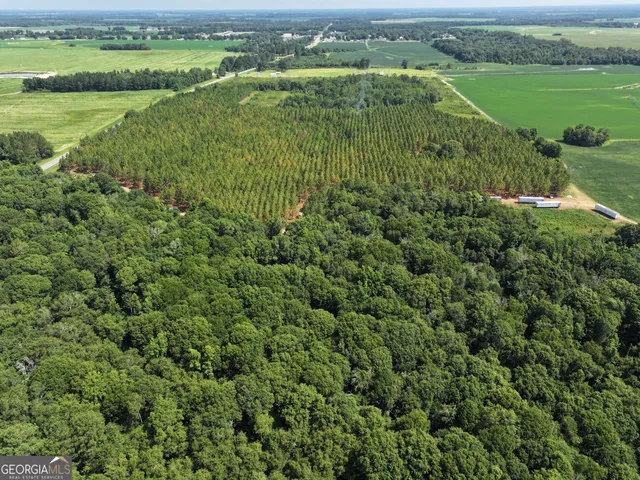 $1,100,000 | 0 Highway 112 Abbeville Ga 31001, Pineview, GA 31071