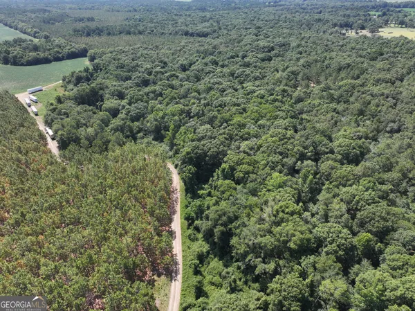 $1,100,000 | 0 Highway 112 Abbeville Ga 31001, Pineview, GA 31071