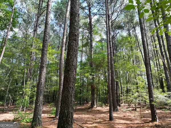 $1,100,000 | 0 Highway 112 Abbeville Ga 31001, Pineview, GA 31071