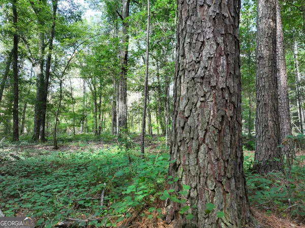 $1,100,000 | 0 Highway 112 Abbeville Ga 31001, Pineview, GA 31071