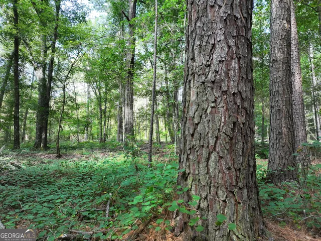 $1,100,000 | 0 Highway 112 Abbeville Ga 31001, Pineview, GA 31071