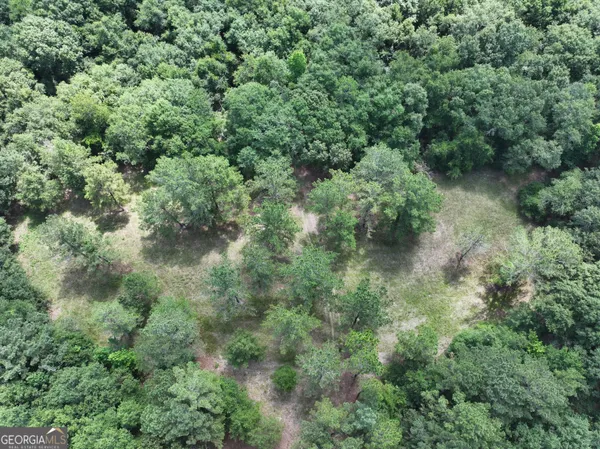 $1,100,000 | 0 Highway 112 Abbeville Ga 31001, Pineview, GA 31071