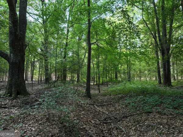 $1,100,000 | 0 Highway 112 Abbeville Ga 31001, Pineview, GA 31071