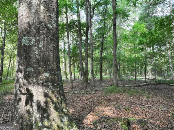 $1,100,000 | 0 Highway 112 Abbeville Ga 31001, Pineview, GA 31071