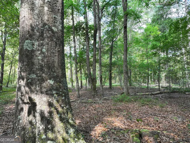 $1,100,000 | 0 Highway 112 Abbeville Ga 31001, Pineview, GA 31071