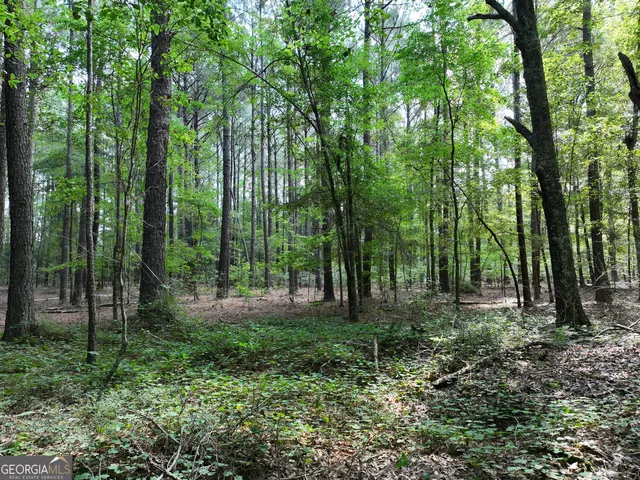 $1,100,000 | 0 Highway 112 Abbeville Ga 31001, Pineview, GA 31071