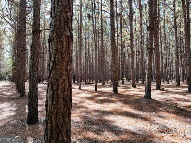 $1,100,000 | 0 Highway 112 Abbeville Ga 31001, Pineview, GA 31071