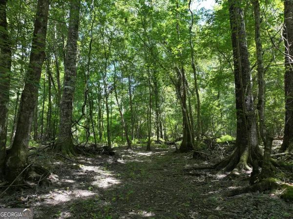 $1,100,000 | 0 Highway 112 Abbeville Ga 31001, Pineview, GA 31071