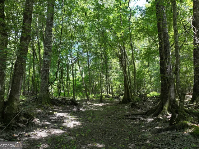 $1,100,000 | 0 Highway 112 Abbeville Ga 31001, Pineview, GA 31071