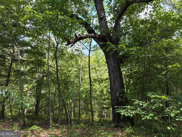 $1,100,000 | 0 Highway 112 Abbeville Ga 31001, Pineview, GA 31071