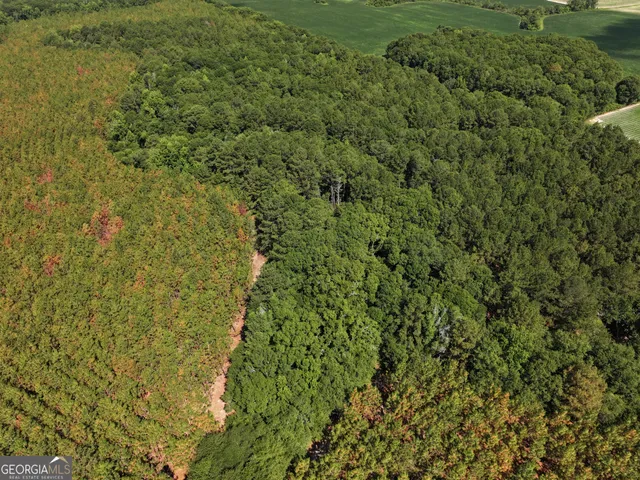 $1,100,000 | 0 Highway 112 Abbeville Ga 31001, Pineview, GA 31071