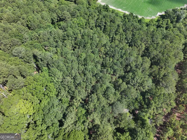 $1,100,000 | 0 Highway 112 Abbeville Ga 31001, Pineview, GA 31071