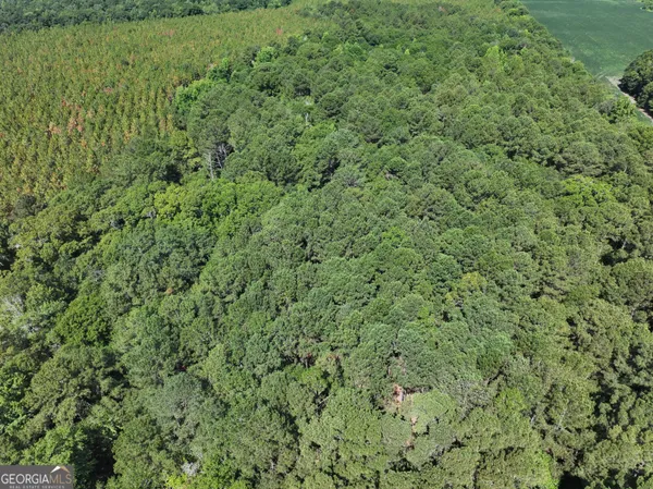 $1,100,000 | 0 Highway 112 Abbeville Ga 31001, Pineview, GA 31071