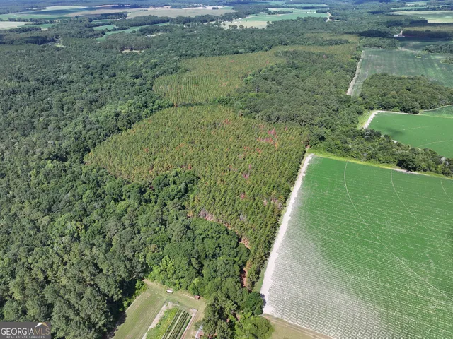 $1,100,000 | 0 Highway 112 Abbeville Ga 31001, Pineview, GA 31071