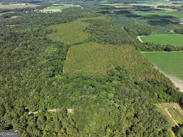 $1,100,000 | 0 Highway 112 Abbeville Ga 31001, Pineview, GA 31071