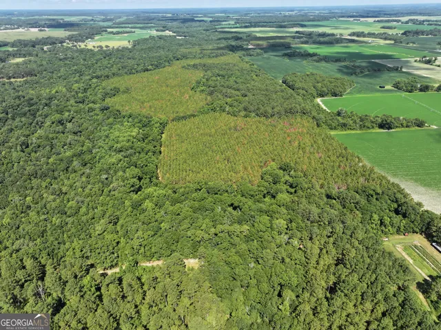 $1,100,000 | 0 Highway 112 Abbeville Ga 31001, Pineview, GA 31071