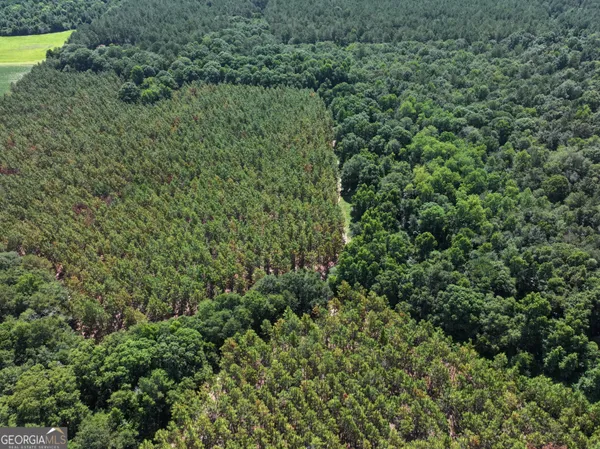 $1,100,000 | 0 Highway 112 Abbeville Ga 31001, Pineview, GA 31071