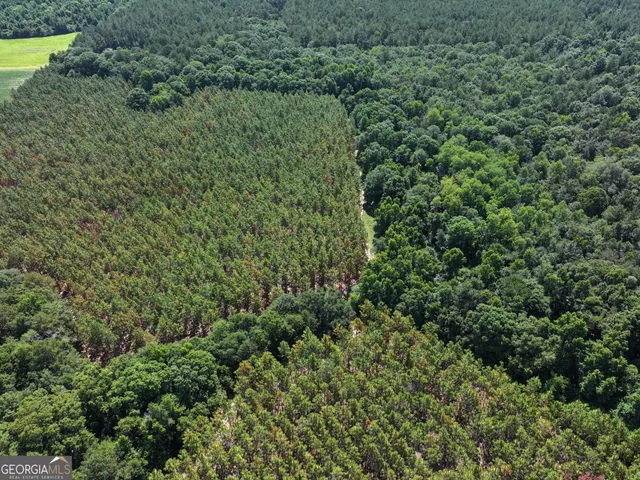 $1,100,000 | 0 Highway 112 Abbeville Ga 31001, Pineview, GA 31071