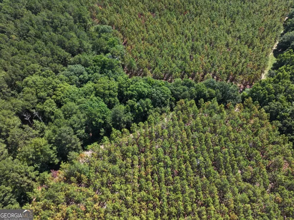 $1,100,000 | 0 Highway 112 Abbeville Ga 31001, Pineview, GA 31071