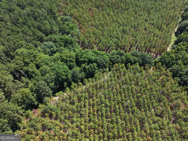 $1,100,000 | 0 Highway 112 Abbeville Ga 31001, Pineview, GA 31071