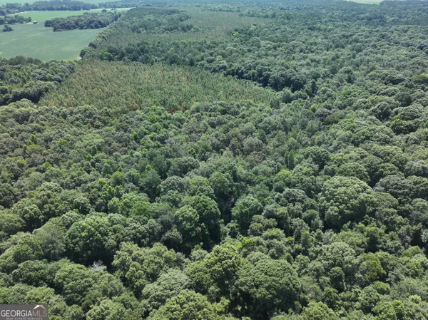 $1,100,000 | 0 Highway 112 Abbeville Ga 31001, Pineview, GA 31071