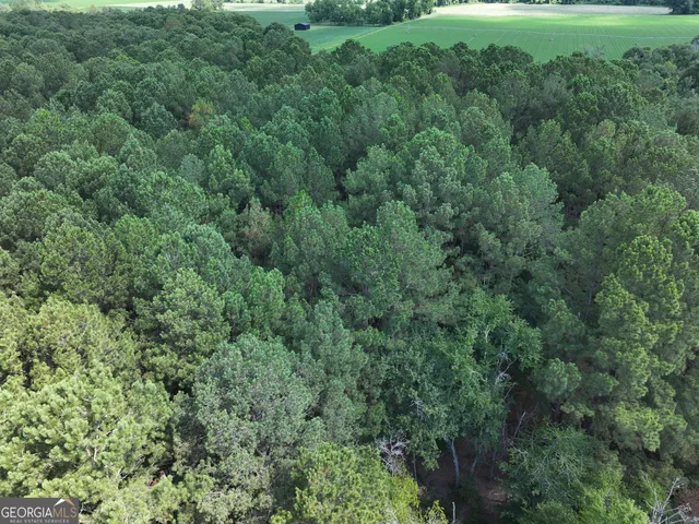 $1,100,000 | 0 Highway 112 Abbeville Ga 31001, Pineview, GA 31071