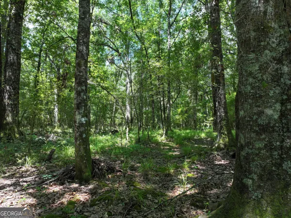 $1,100,000 | 0 Highway 112 Abbeville Ga 31001, Pineview, GA 31071